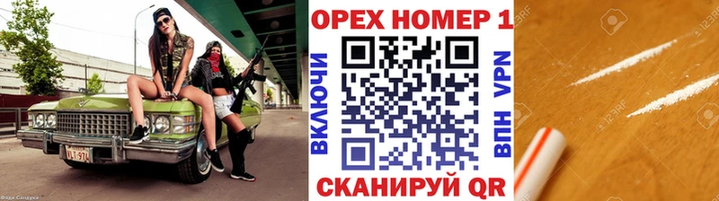 Купить закладки  Шебекино  Кокаин Эквадор 