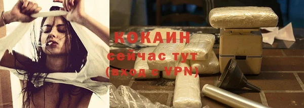 винт Мегион