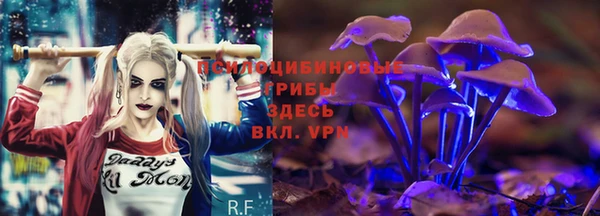 винт Мегион