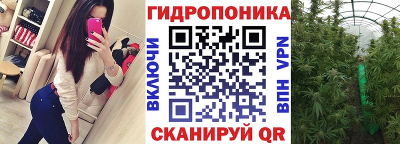 Купить закладки  Шебекино  Канабис тримм 